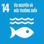 phát triển bền vững SDG-14
